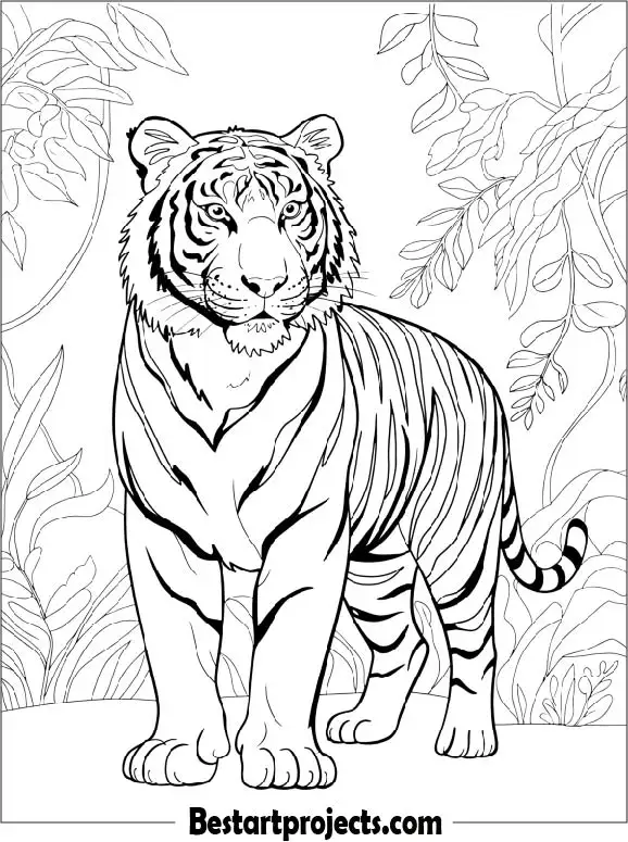 Sumatran Tiger in Wild Coloring