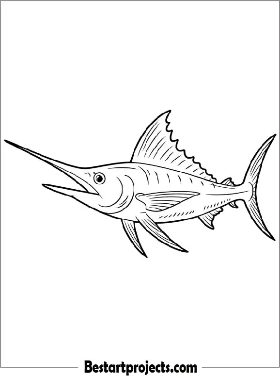 Swordfish Coloring Page for Kids