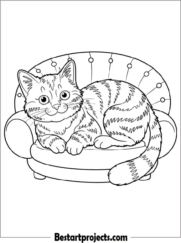 Tabby Cat Coloring Page