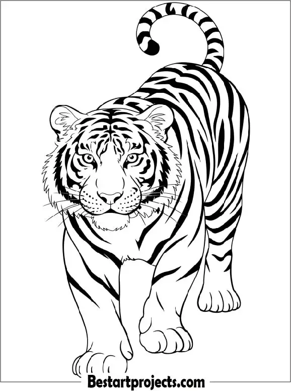Tiger Coloring Page
