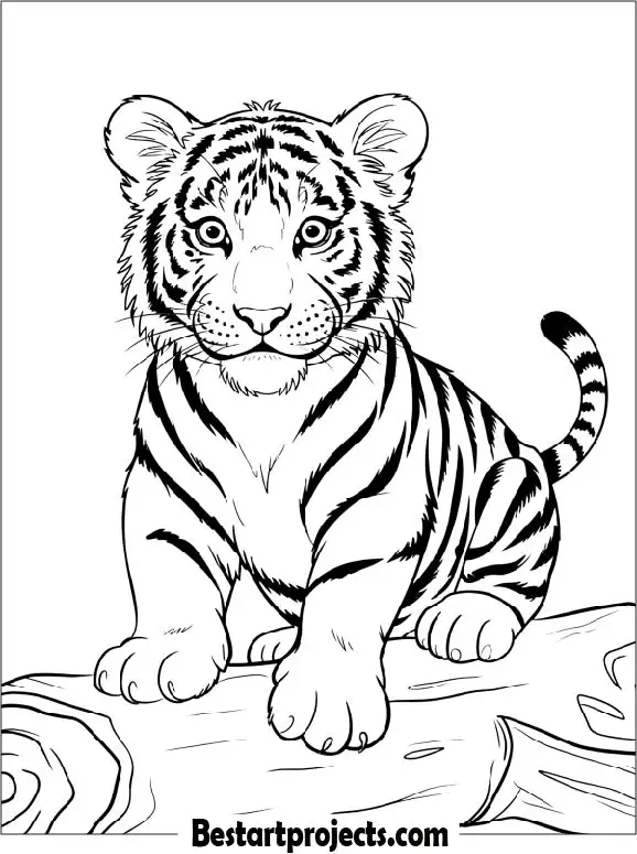 Tiger Cub Sitting on a Log