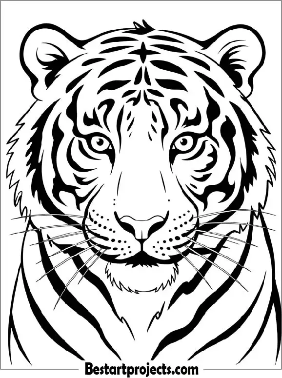 Tiger Face Close-Up Coloring Page