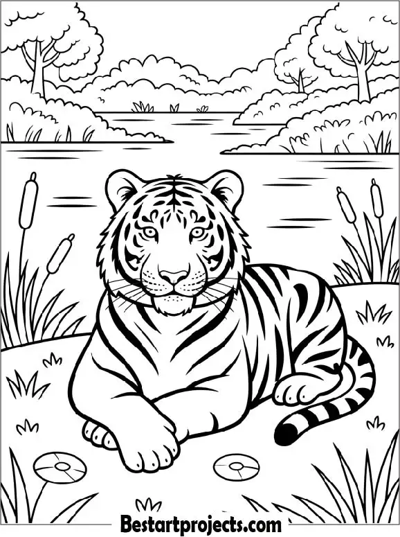 Tiger Resting Near a River