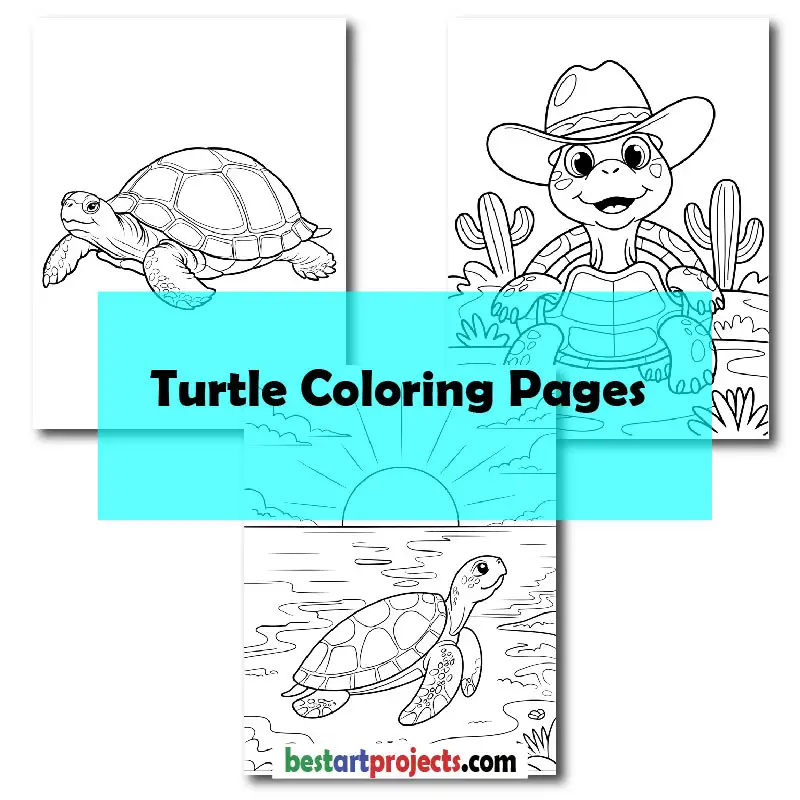 Turtle Coloring pages