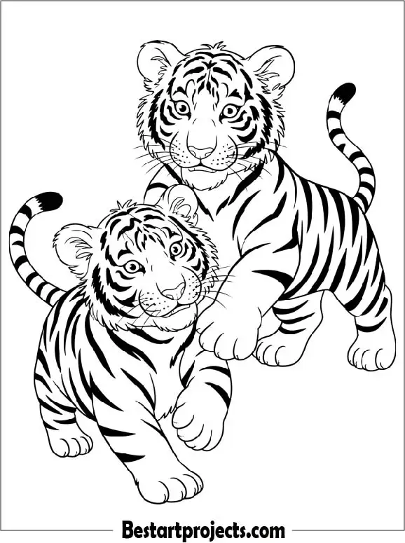 Two Tiger Cubs Coloring Page