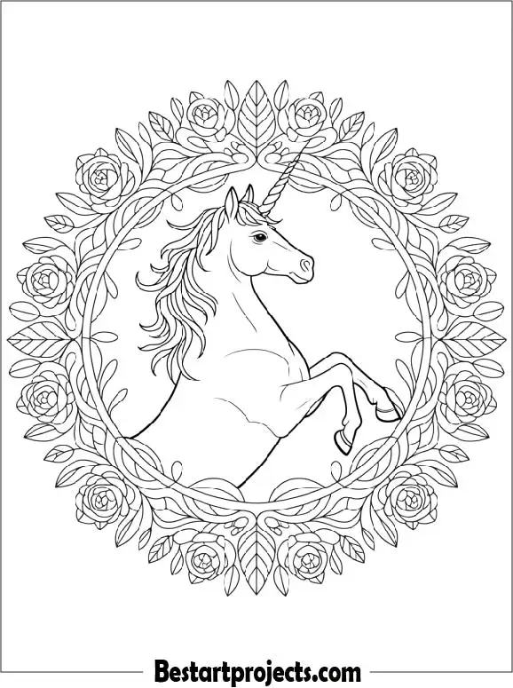 Unicorn Mandala Design