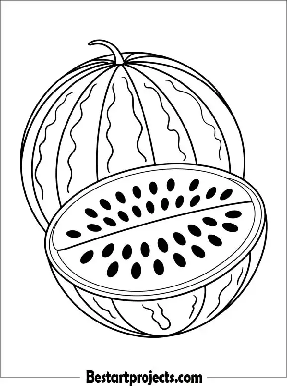 Watermelon Coloring Page for Preschoolers