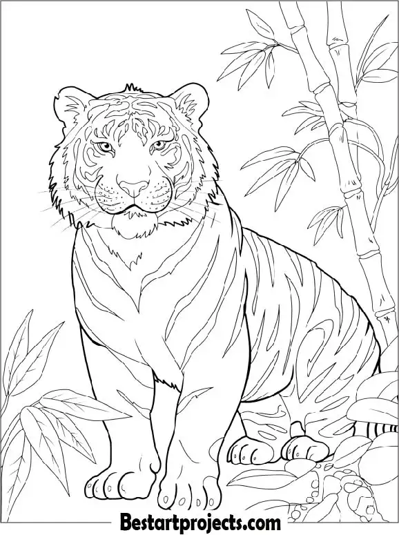 White Tiger Coloring Page